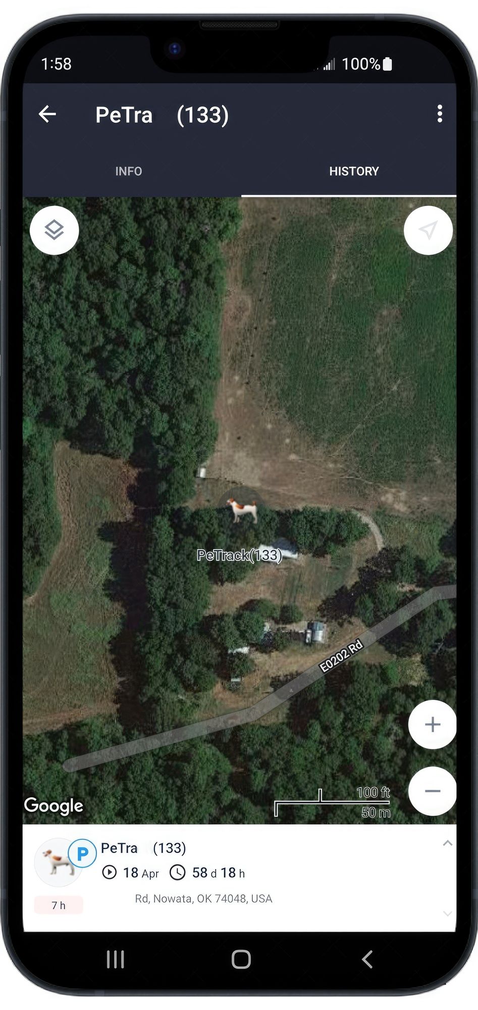 414878981